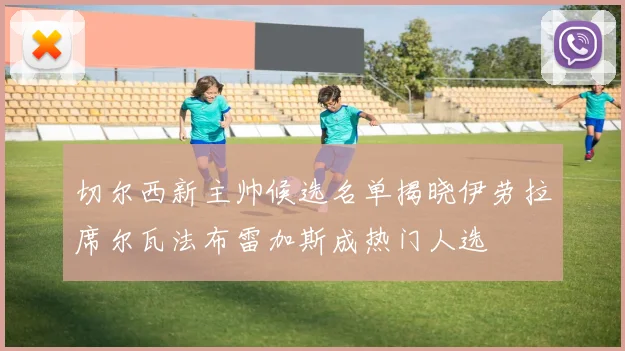 切尔西新主帅候选名单揭晓伊劳拉席尔瓦法布雷加斯成热门人选