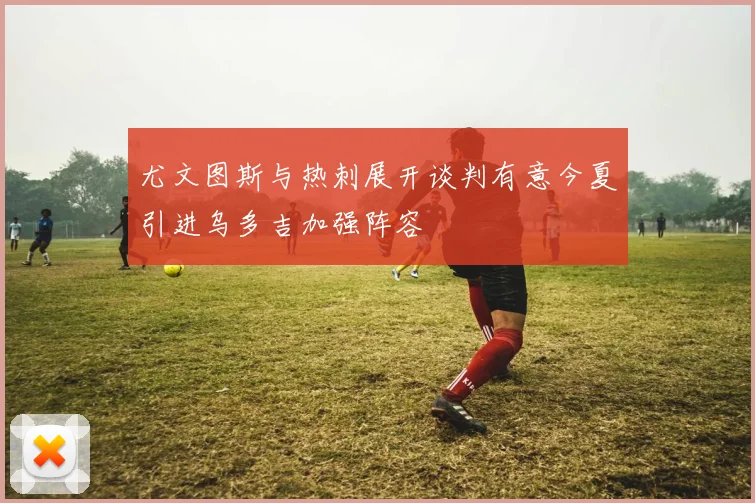 尤文图斯与热刺展开谈判有意今夏引进乌多吉加强阵容